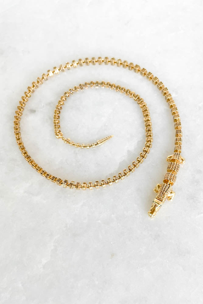 Alligator Vertebrae Necklace