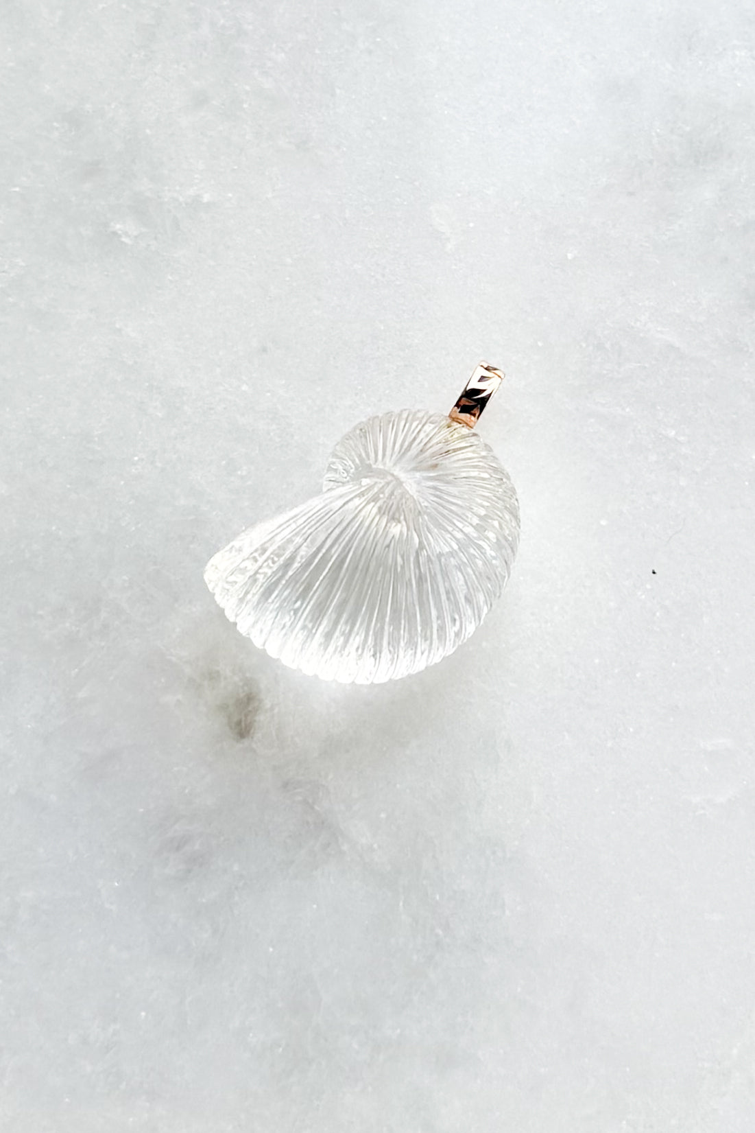 Crystal Nautilus Charm