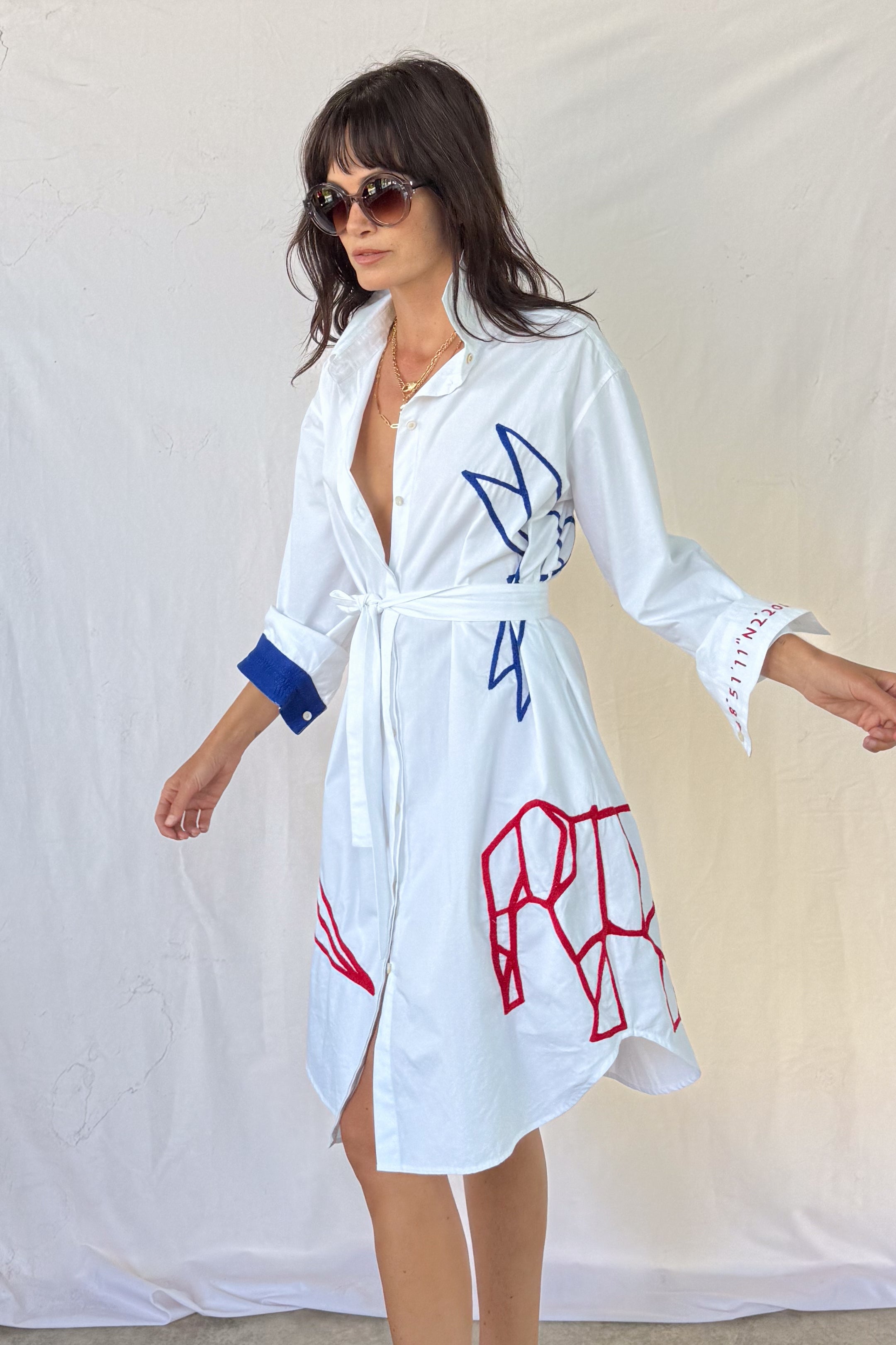 Semamori Road Trip Dress