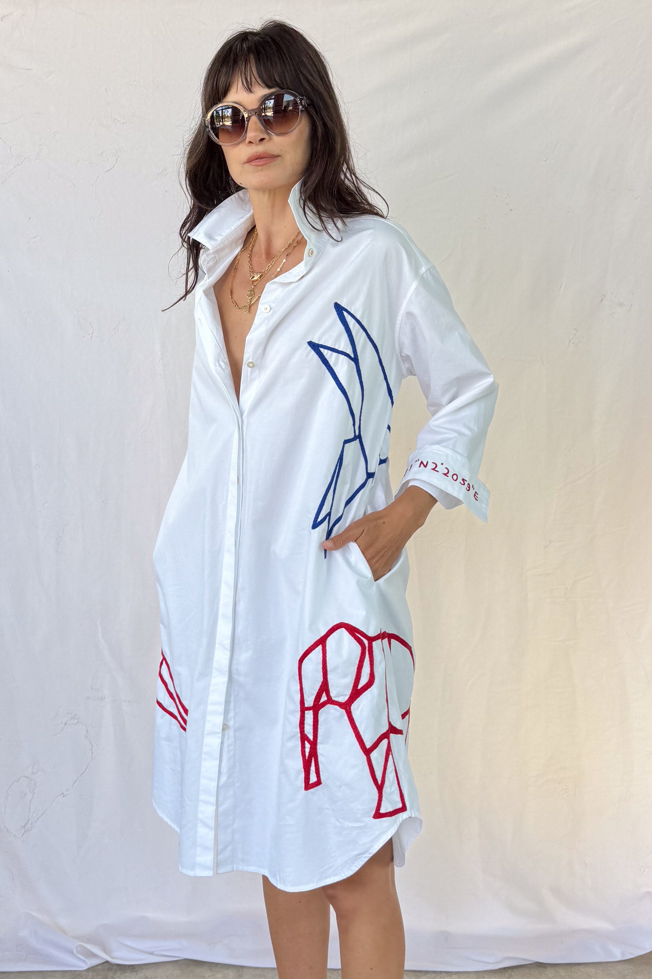 Semamori Road Trip Dress