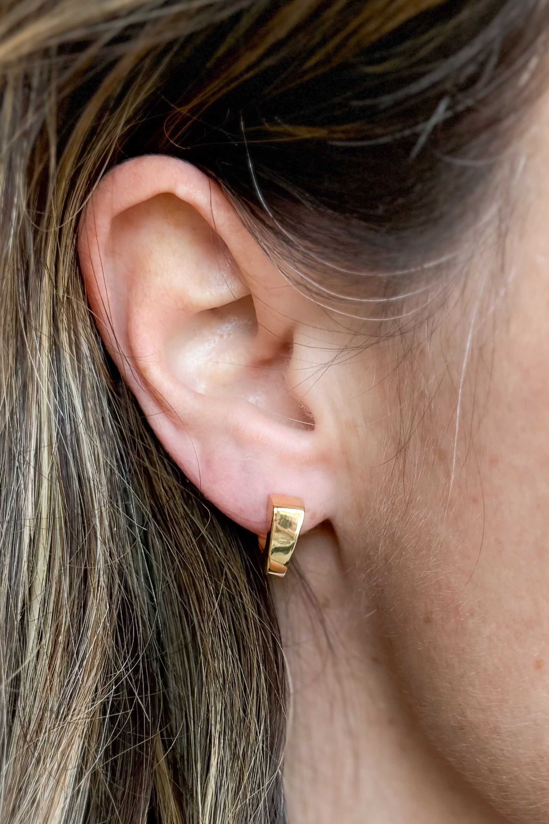 Small Quadro Earrings
