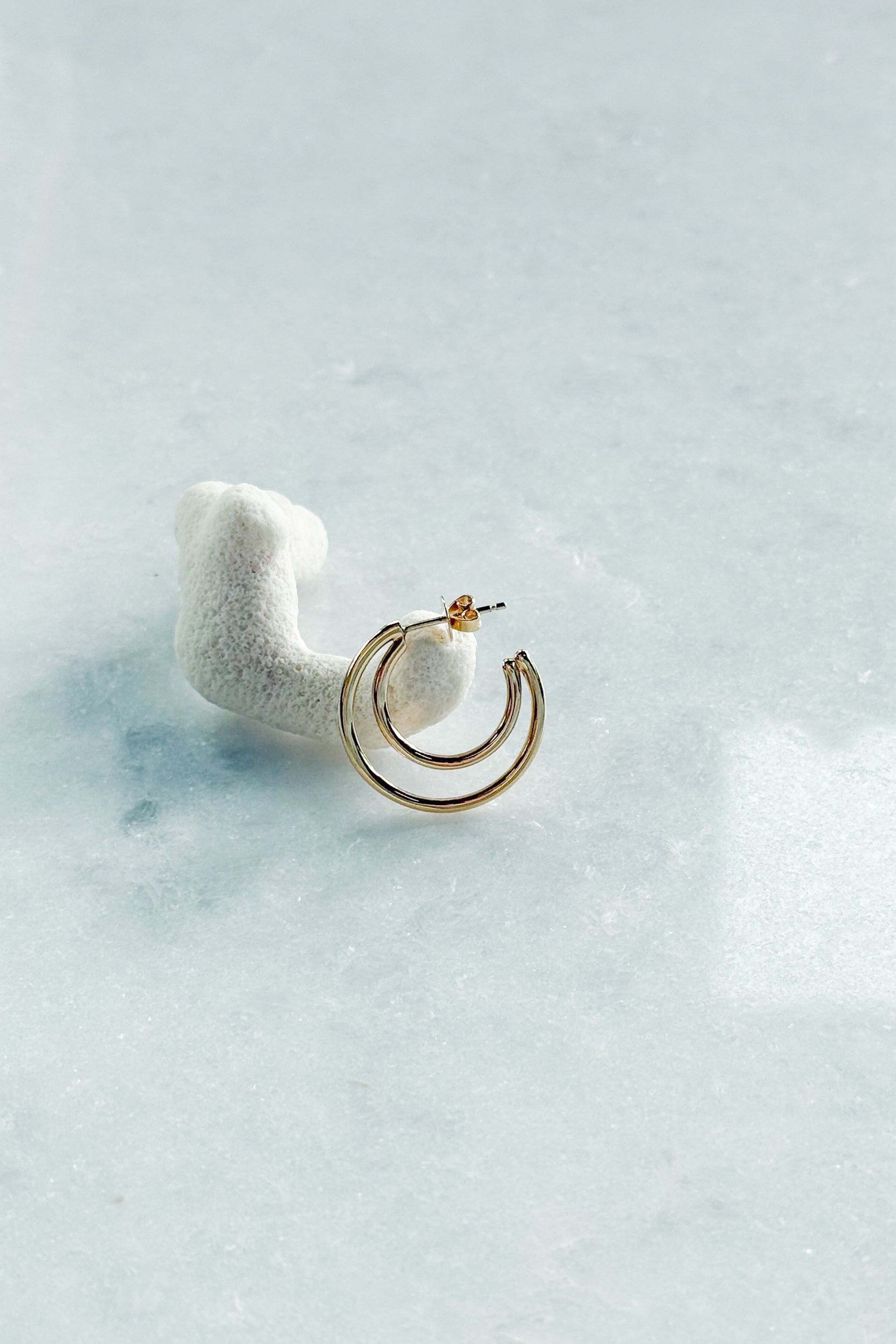 Double Hoop Earring